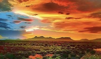 198 E Apache Way 4, Cochise, AZ 85606