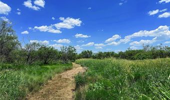 TBD WEST TRACT County Road 356, Anson, TX 79501