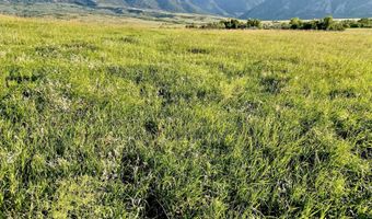 40 6 Acres Canyon Ranch Rd, Big Horn, WY 82833