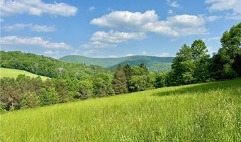 515 Delaware Ave, Andes, NY 13731