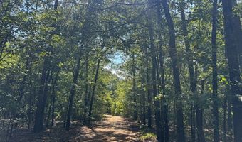 1324 Highway 81 N, Calhoun Falls, SC 29628