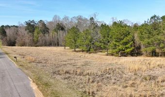 000 Mt Pleasant Ln SE, Bogue Chitto, MS 39629
