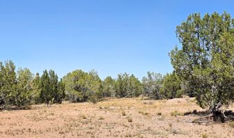 3200 W Poppy Rd, Ash Fork, AZ 86320