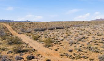 308-22 451 Palm Dr, Chloride, AZ 86431