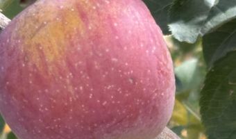 3701 Piermont Dr NE, Albuquerque, NM 87111