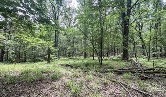 Pine Lodge Road, Batesville, MS 38606