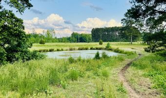 6007 Brickhouse Rd, Bahama, NC 27503