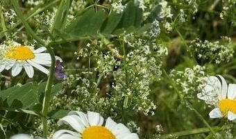 45 Freedom Rd, Belgrade, ME 04917