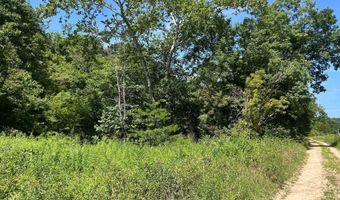 18781 Private Drive 1145, Ava, MO 65608