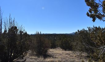 Tbd Stanford Road, Concho, AZ 85924