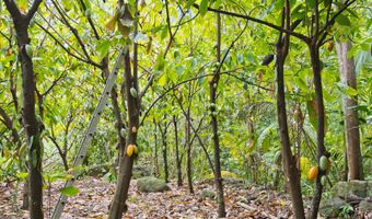 20 WAIPIO VALLEY Rd, Honokaa, HI 96727