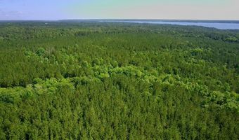 0 Pebble Cove Rd, Abbeville, AL 36310