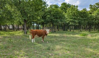 210 County Road 2696, Alvord, TX 76225