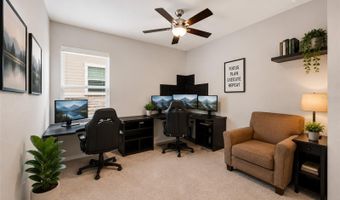 1136 E 10TH St, Apopka, FL 32703