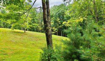88 Cherry Ln, Arbovale, WV 24915