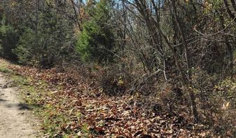 Lot 2 Tower Hill Rd, Appomattox, VA 24522