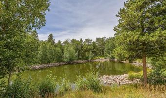 85 N FORK Rd, Centennial, WY 82055