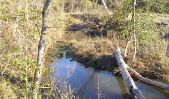 tbd 54.89 Acres N Hwy 53, Arkadelphia, AR 71923