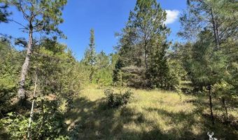 0 John S Horton, Adrian, GA 31002