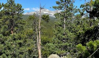 0 Pine Cone Cir Lot 46, Allenspark, CO 80540