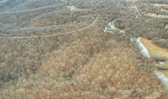 116 Hambrich Hollow Rd, Anderson, MO 64831