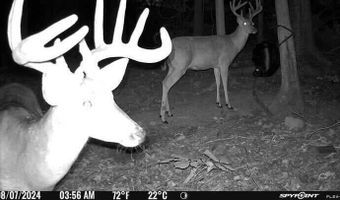 732 Highway 558, Albany, KY 42602