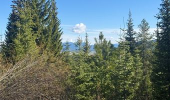 Urban Lane lot 5, Cascade, ID 83611