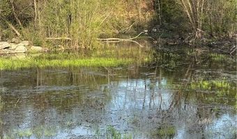 SE 95th Road, Agency, MO 64401