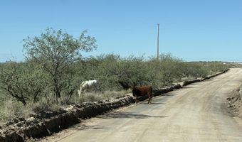 Bell Road, Benson, AZ 85602