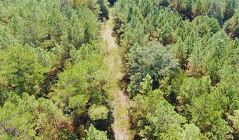 0 CR 320, Big Creek, MS 38914