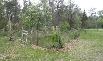 2018 W 9th Ave, Adams, WI 53910