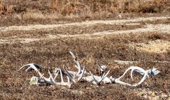 3968 Highway 167, Ash Flat, AR 72513