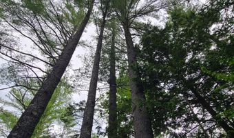 Map 14 lot 50, Andover, ME 04216