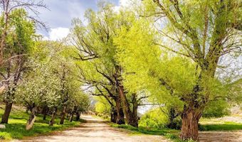 1090 Cherry Creek Rd, Ely, NV 89301