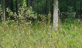 V/L 20AC Monaghan Point Road, Alpena, MI 49707
