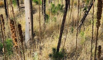 0 Crystal Mountain Rd, Bellvue, CO 80512