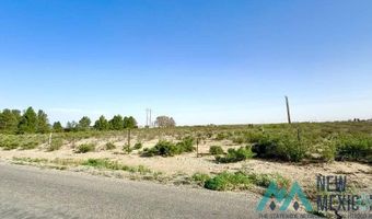Mcfarland Road, Carlsbad, NM 88220