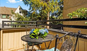 1024 E Cooper Ave 8, Aspen, CO 81611