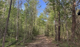 1311 A N Jackson St, Brookhaven, MS 39601