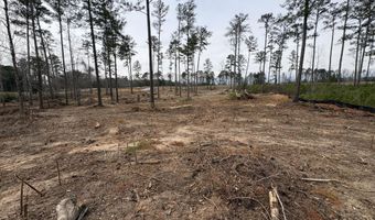 5672 White Oak Rd, Appling, GA 30802
