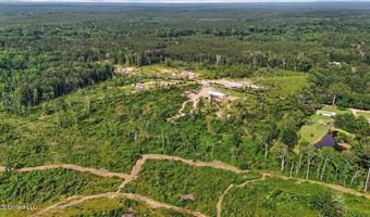 135 Sawmill Rd, Braxton, MS 39044