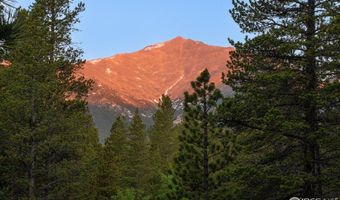 1217 Big Owl Rd, Allenspark, CO 80510