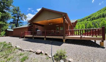 421 Elk Meadow Run, Antonito, CO 81120