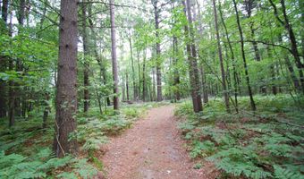 x Franklin Road, Alger, MI 48610