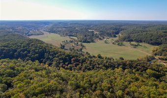 4495 County Road 405, Alton, MO 65606