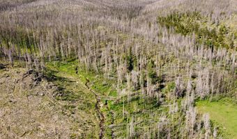 2493 Greer Rd, Bellvue, CO 80512