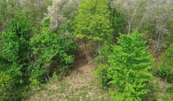 1271 A Tunnel Ridge Rd, Argillite, KY 41121