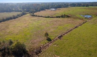 2545 Pleasant Grove Rd, Bogue Chitto, MS 39629