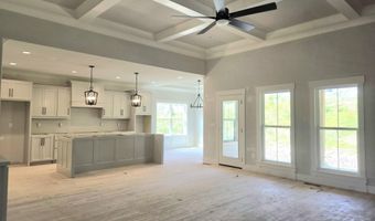 10597 Brownspring Dr 115, Apison, TN 37302