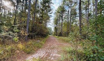 644 Ash-Harrel Loop, Abbeville, GA 31001